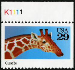 Giraffe United States Postage Stamp | Animals