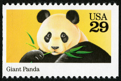 Giant Panda United States Postage Stamp | Animals