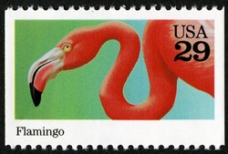 Flamingo United States Postage Stamp | Animals