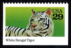White Bengal Tiger United States Postage Stamp | Animals