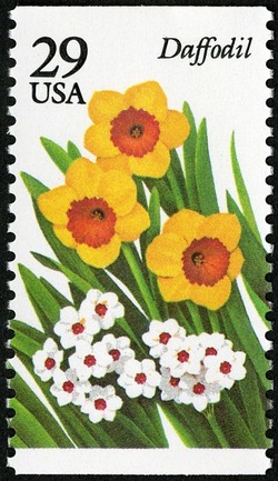 Daffodil United States Postage Stamp | Garden Flowers