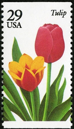 Tulip United States Postage Stamp | Garden Flowers