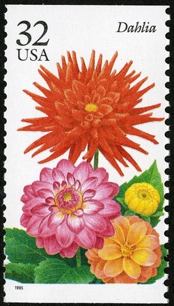 Dahlia United States Postage Stamp | Fall Garden Flowers