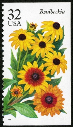 Rudbeckia United States Postage Stamp | Fall Garden Flowers
