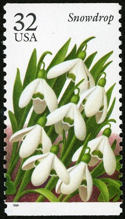 Snowdrop United States Postage Stamp | Winter Flowers