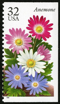 Anemone United States Postage Stamp | Winter Flowers