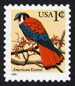 American Kestrel - 1999 Date United States Postage Stamp