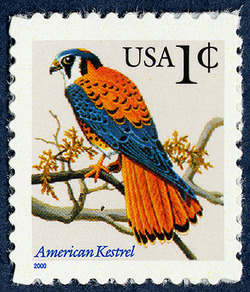 American Kestrel - 2000 Date United States Postage Stamp