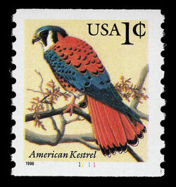 American Kestrel - 1996 Date United States Postage Stamp