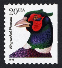 Ring-necked Pheasant - Perf 10.6 X 10.4 United States Postage Stamp