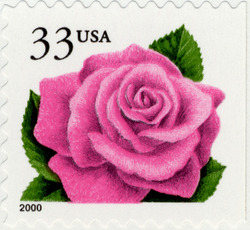 Pink Rose - 2000 Date United States Postage Stamp