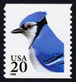Blue Jay - Horizontal Imperforate United States Postage Stamp