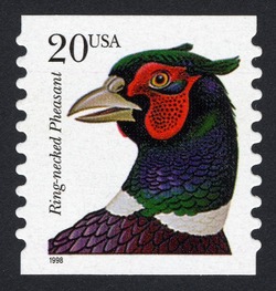 Ring-necked Pheasant - Horizontal Imperforate United States Postage Stamp