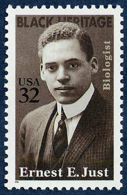 Ernest E. Just United States Postage Stamp | Black Heritage