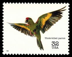 Thick-billed Parrot United States Postage Stamp | Endangered Species