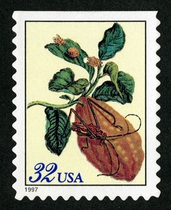 Citron United States Postage Stamp | Merian Botanicals