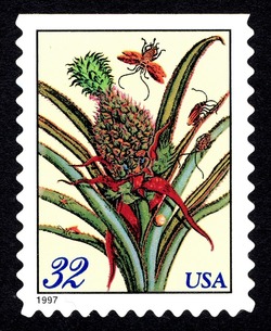 Flowering Pineapple United States Postage Stamp | Merian Botanicals