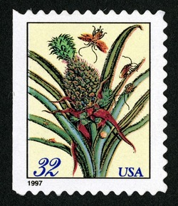 Flowering Pineapple - Booklet Single United States Postage Stamp | Merian Botanicals