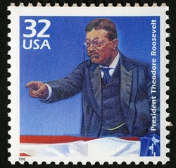 President Theodore Roosevelt United States Postage Stamp | Celebrate the Century - 1900s
