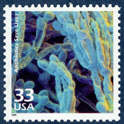 Antibiotics Save Lives United States Postage Stamp | Celebrate the Century - 1940s
