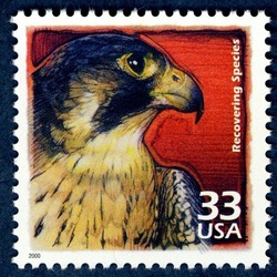 Recovering Species United States Postage Stamp | Celebrate the Century - 1990s