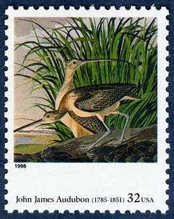 John James Audubon - Long-billed Curfew United States Postage Stamp | Four Centuries of American Art
