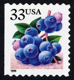 Blueberries - 1999 Date - Perf 9.5 X 10 United States Postage Stamp | Berries