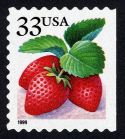 Strawberries - 1999 Date - Perf 9.5 X 10 United States Postage Stamp | Berries