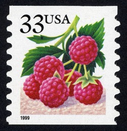 Raspberries - 1999 Date - Horizontal Imperforate United States Postage Stamp | Berries
