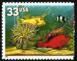 Red and Yellow Fish With Shrimp United States Postage Stamp | Aquarium Fish