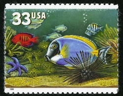 Blue and Red Fish United States Postage Stamp | Aquarium Fish