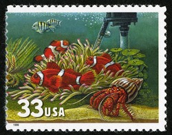 Clown Fish and Hermit Crab United States Postage Stamp | Aquarium Fish