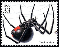 Black Widow United States Postage Stamp | Insects and Spiders