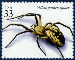 Yellow Garden Spider United States Postage Stamp | Insects and Spiders
