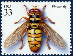 Flower Fly United States Postage Stamp | Insects and Spiders