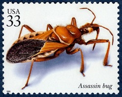 Assassin Bug United States Postage Stamp | Insects and Spiders