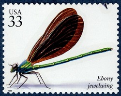 Ebony Jewelwing United States Postage Stamp | Insects and Spiders