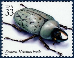 Eastern Hercules Beetle United States Postage Stamp | Insects and Spiders