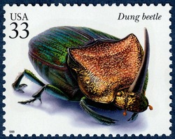 Dung Beetle United States Postage Stamp | Insects and Spiders