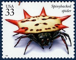 Spinybacked Spider United States Postage Stamp | Insects and Spiders