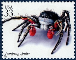 Jumping Spider United States Postage Stamp | Insects and Spiders