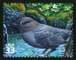 American Dipper United States Postage Stamp | Pacific Coast Rain Forest
