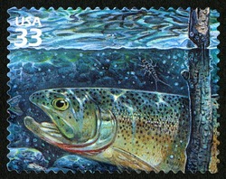 Cutthroat Trout United States Postage Stamp | Pacific Coast Rain Forest
