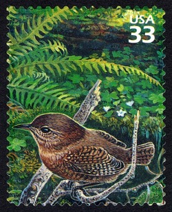 Winter Wren United States Postage Stamp | Pacific Coast Rain Forest