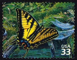 Western Tiger Swallowtail United States Postage Stamp | Pacific Coast Rain Forest