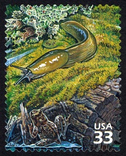 Foliose Lichen and Banana Slug United States Postage Stamp | Pacific Coast Rain Forest
