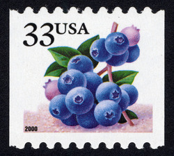 Blueberries - 2000 Date - Vertical Imperforate United States Postage Stamp | Berries