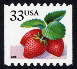 Strawberries - 2000 Date - Vertical Imperforate United States Postage Stamp | Berries