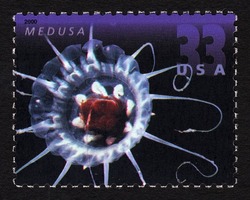 Medusa United States Postage Stamp | Deep Sea Creatures