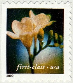 Freesia - First-Class - Perf 10.5 X 10.75 United States Postage Stamp | Flowers
